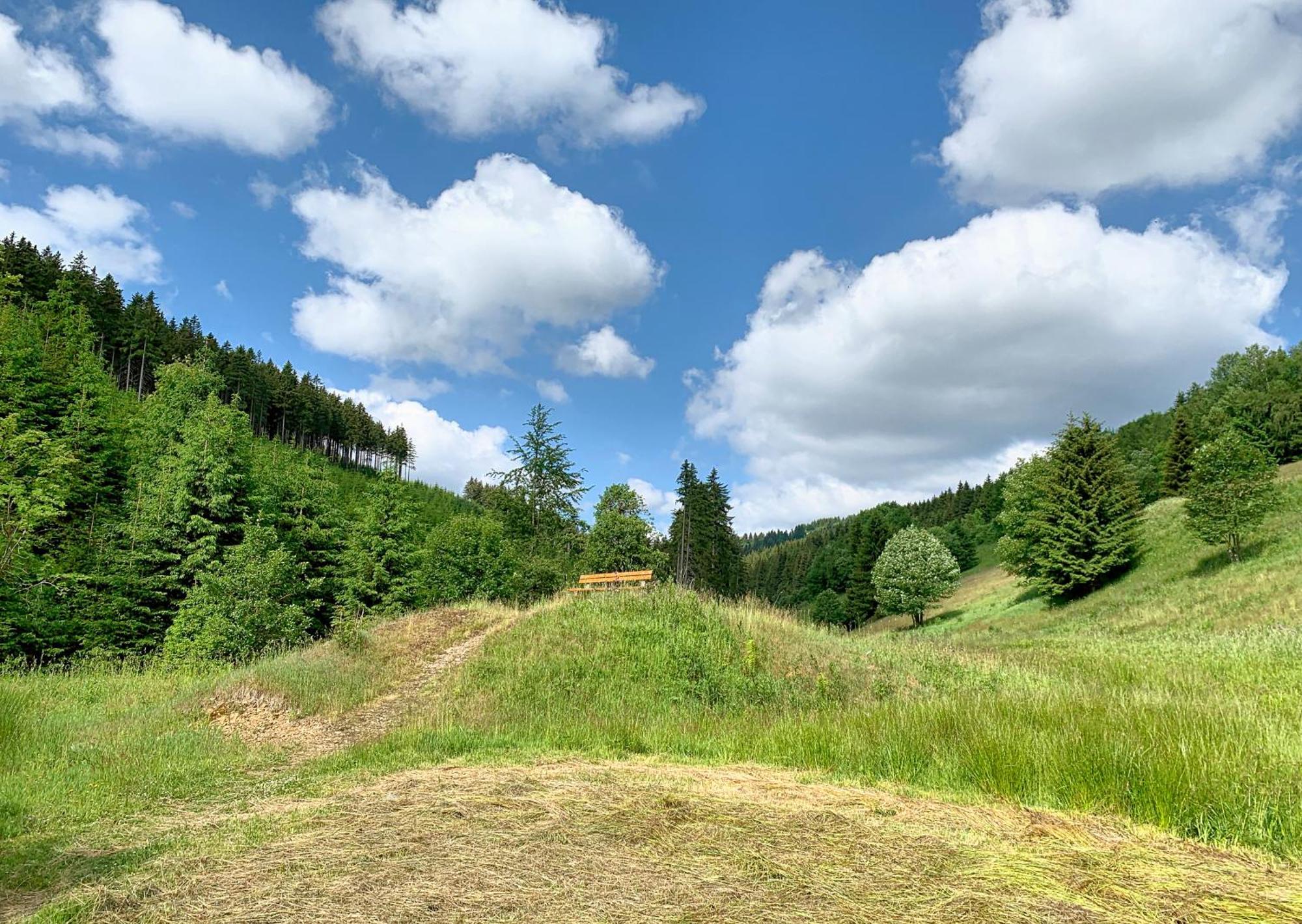 Erzgebirge Suite Bergruhe โอเบอร์วีเซินธาล ภายนอก รูปภาพ