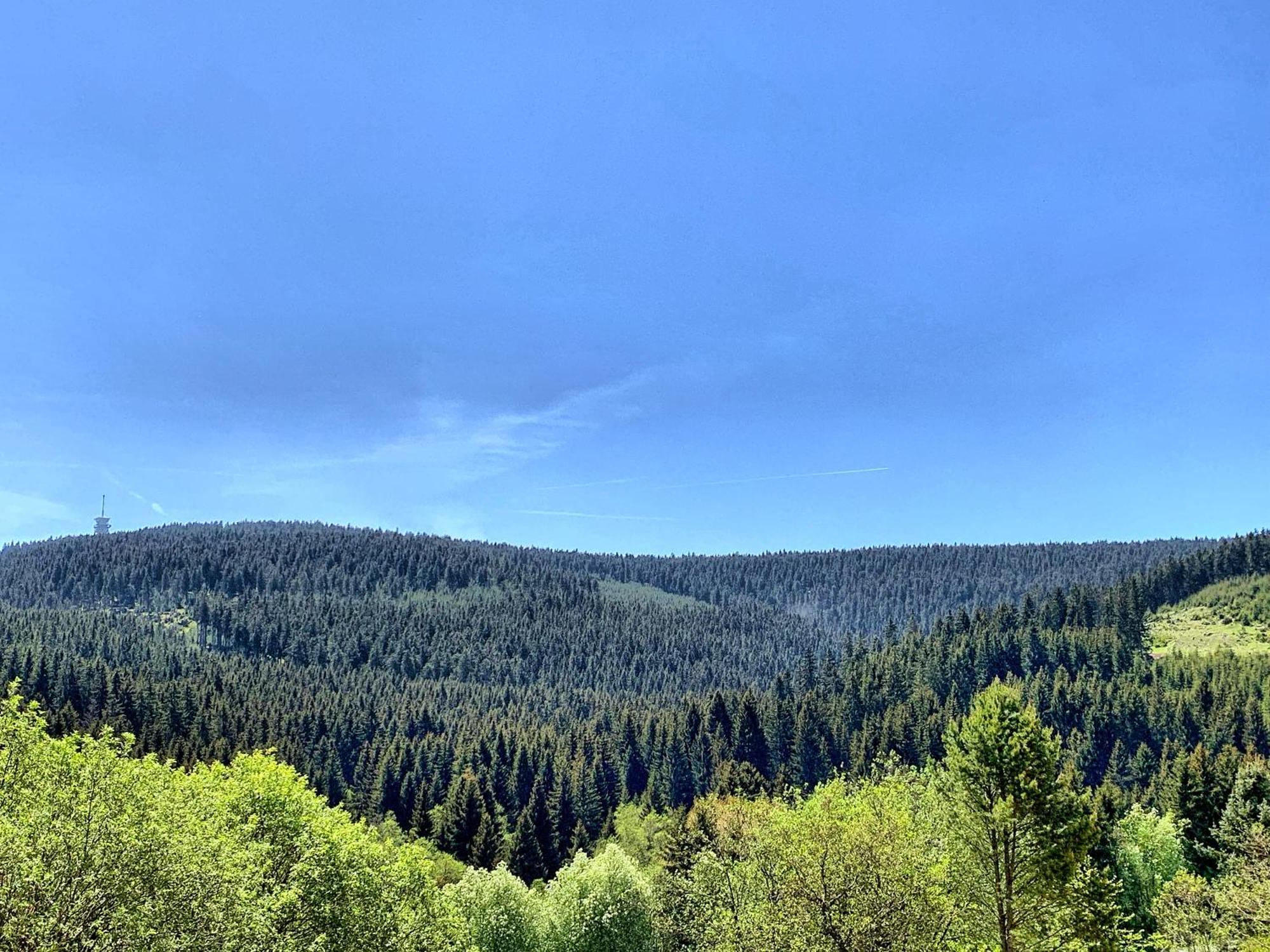 Erzgebirge Suite Bergruhe โอเบอร์วีเซินธาล ภายนอก รูปภาพ
