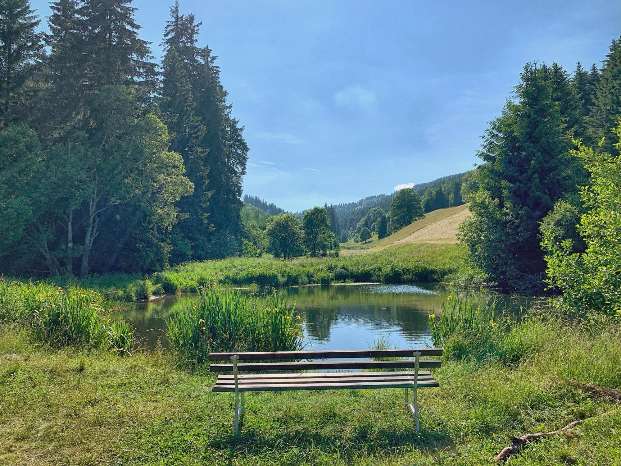 Erzgebirge Suite Bergruhe โอเบอร์วีเซินธาล ภายนอก รูปภาพ